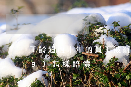 工齡超過十年的員工被辭退，公司應(yīng)怎樣賠償？